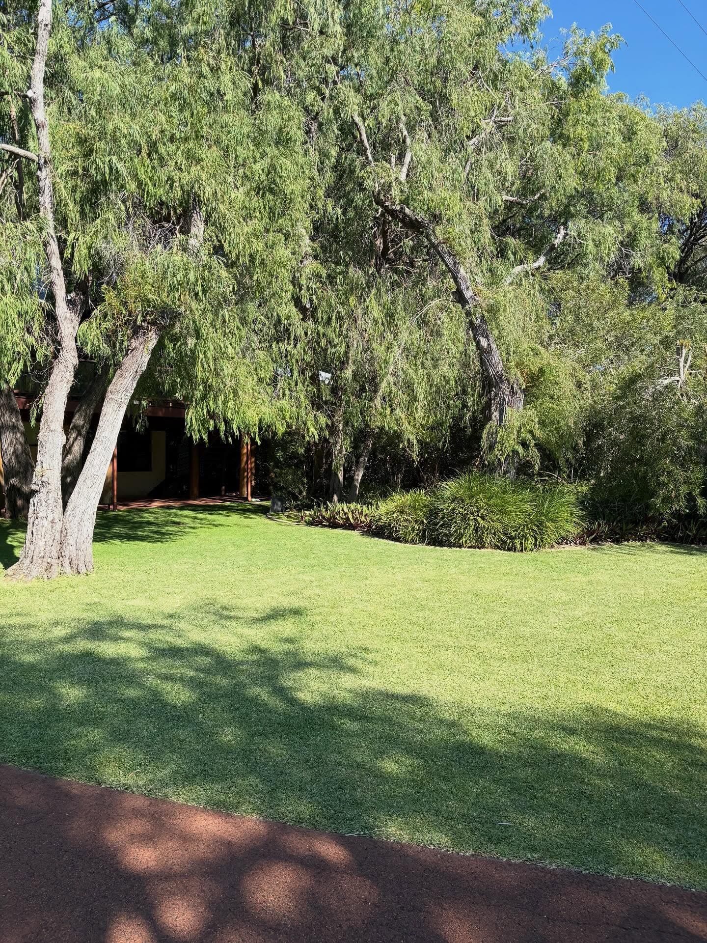 New turf settled in around a home