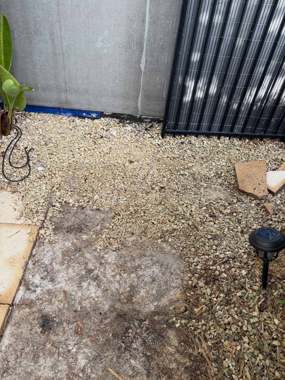 Courtyard makeover, photo 2