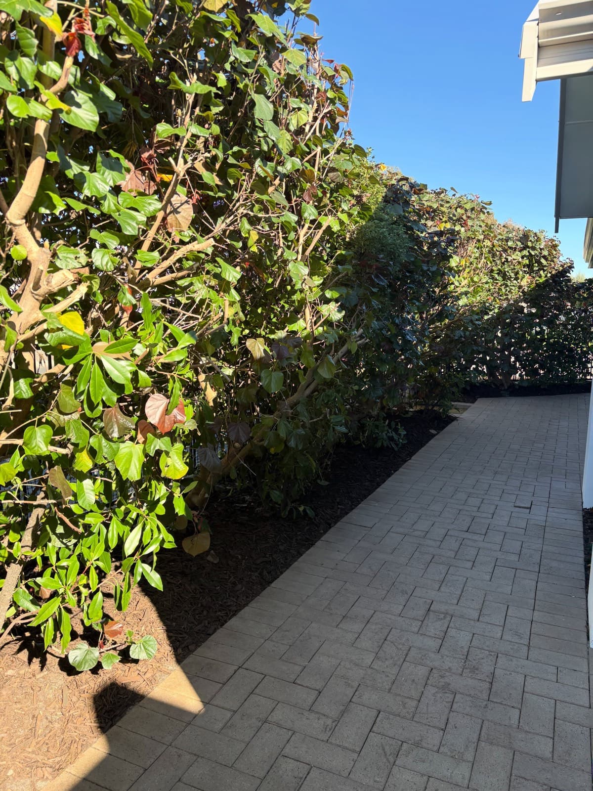 Garden re-mulch, Dunsborough, photo 2