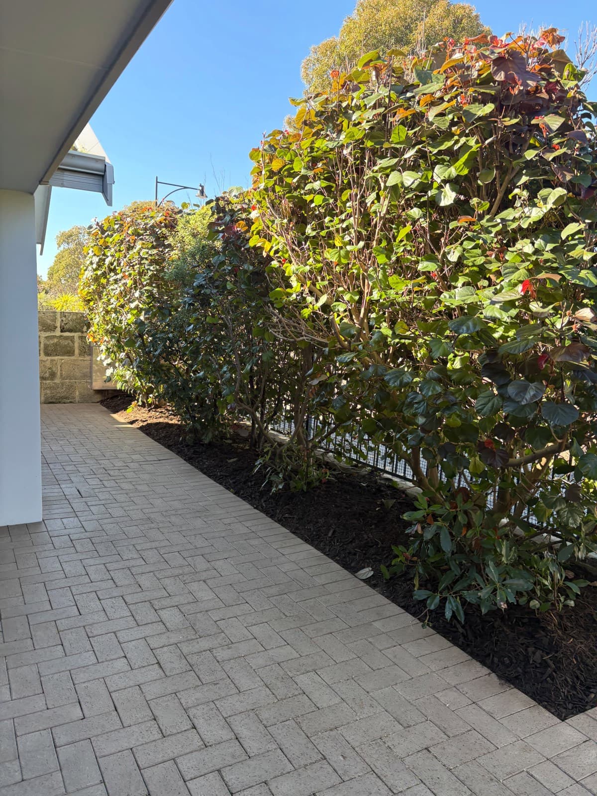 Garden re-mulch, Dunsborough