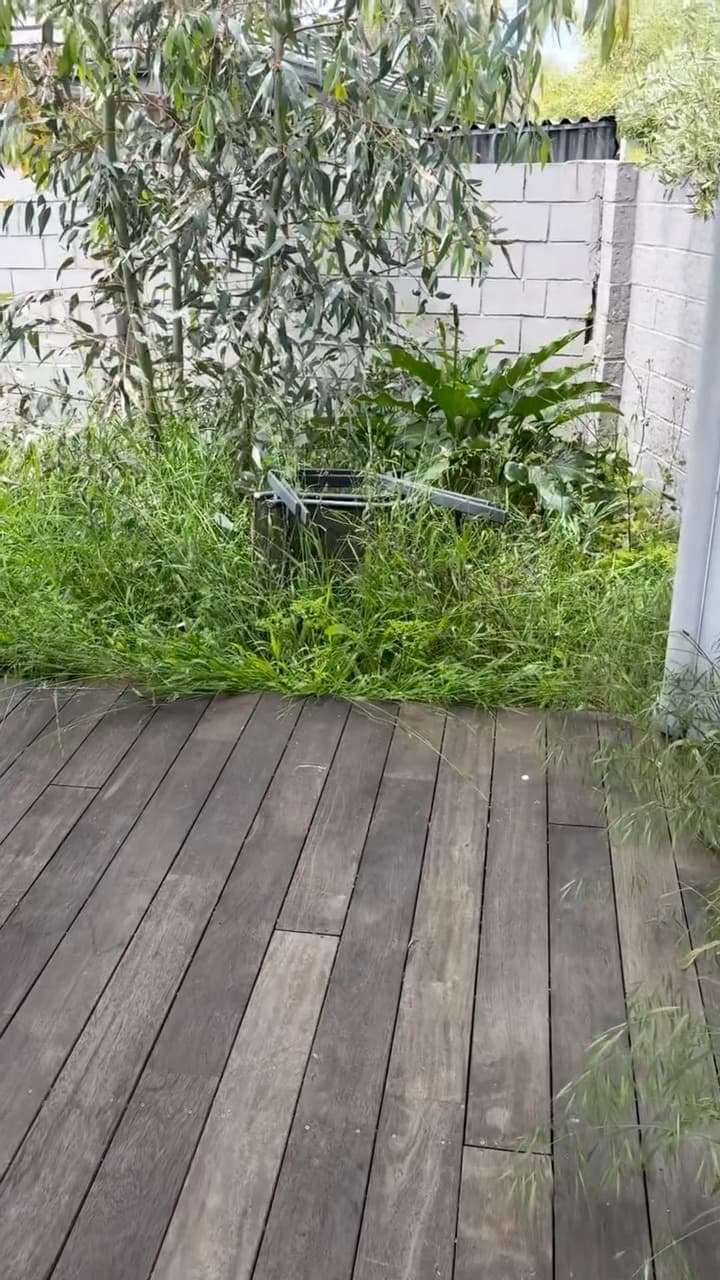 Full garden clean up, Dunsborough, photo 2