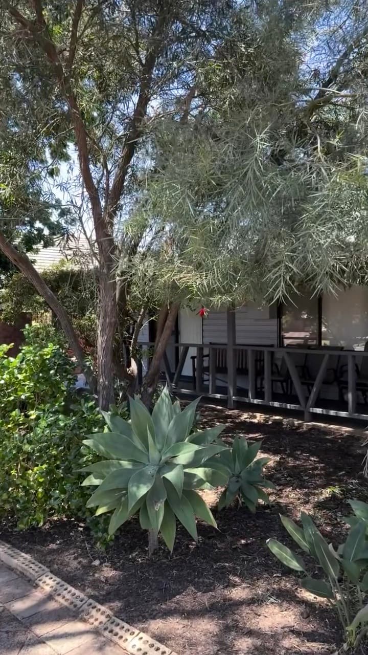 Full garden clean up, Dunsborough, photo 5