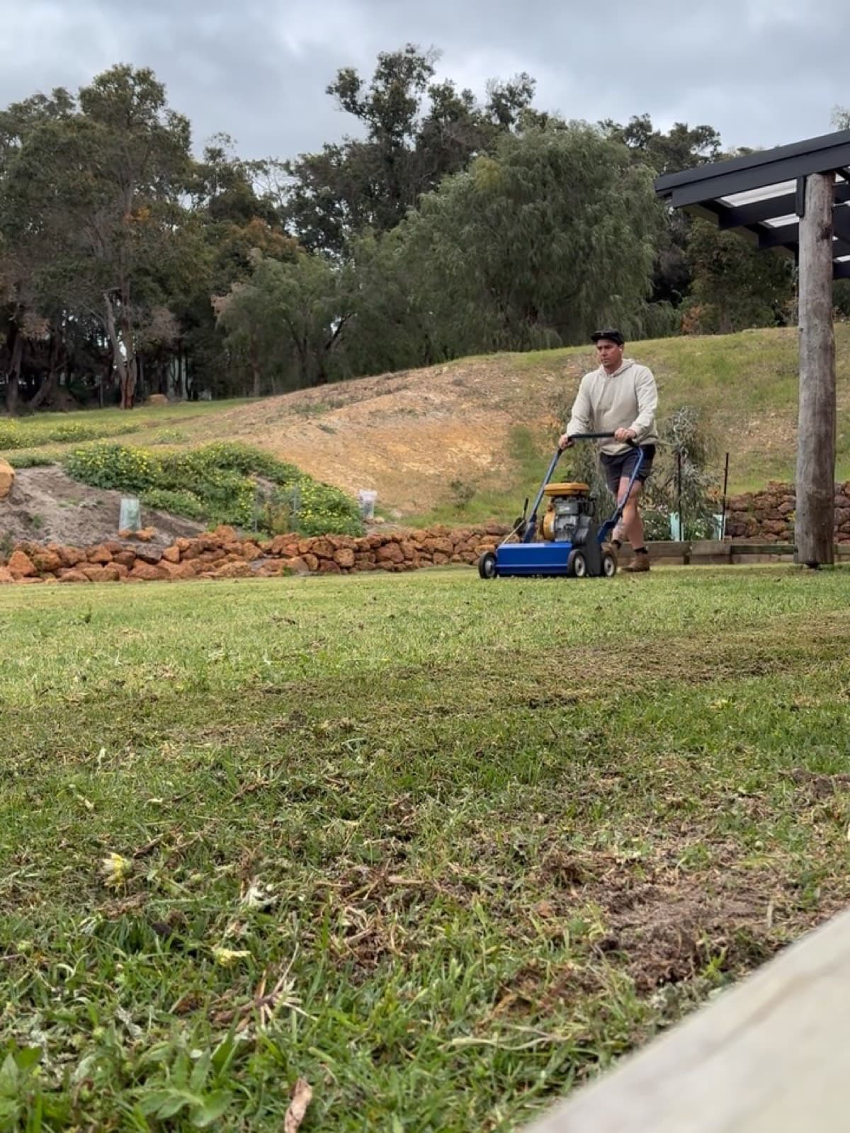 Lawn renovation