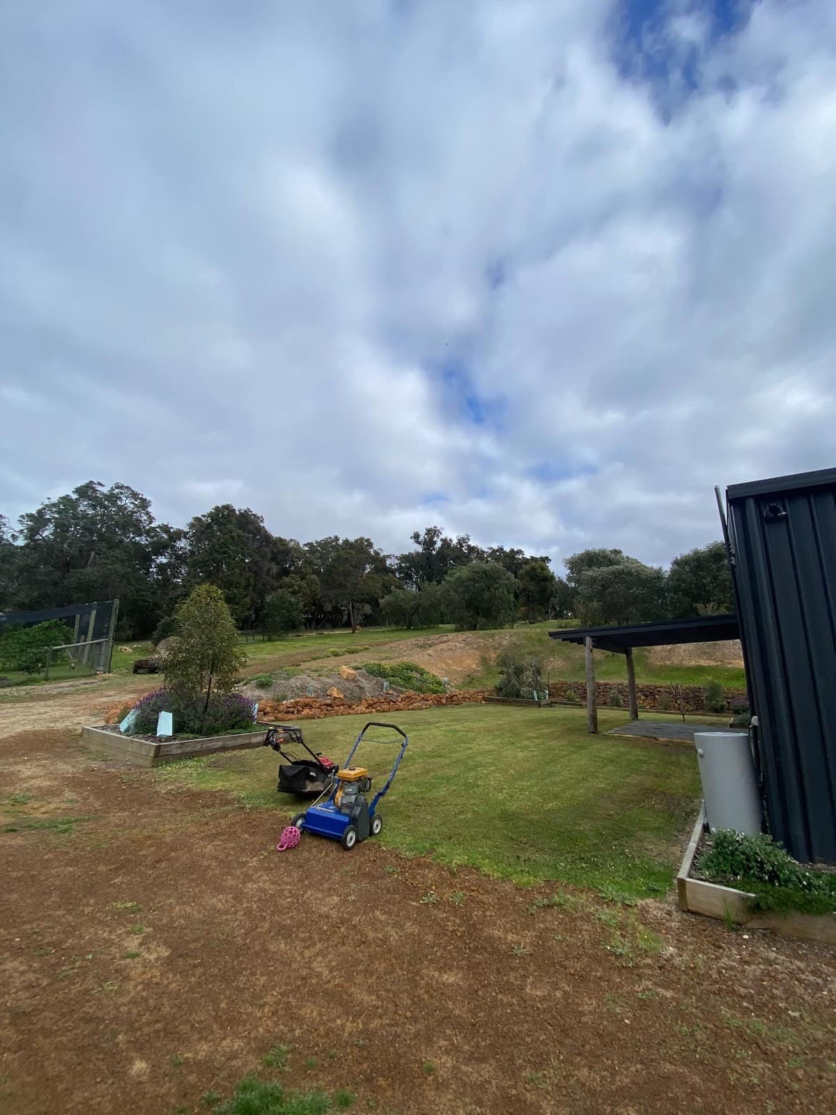 Lawn renovation, photo 2