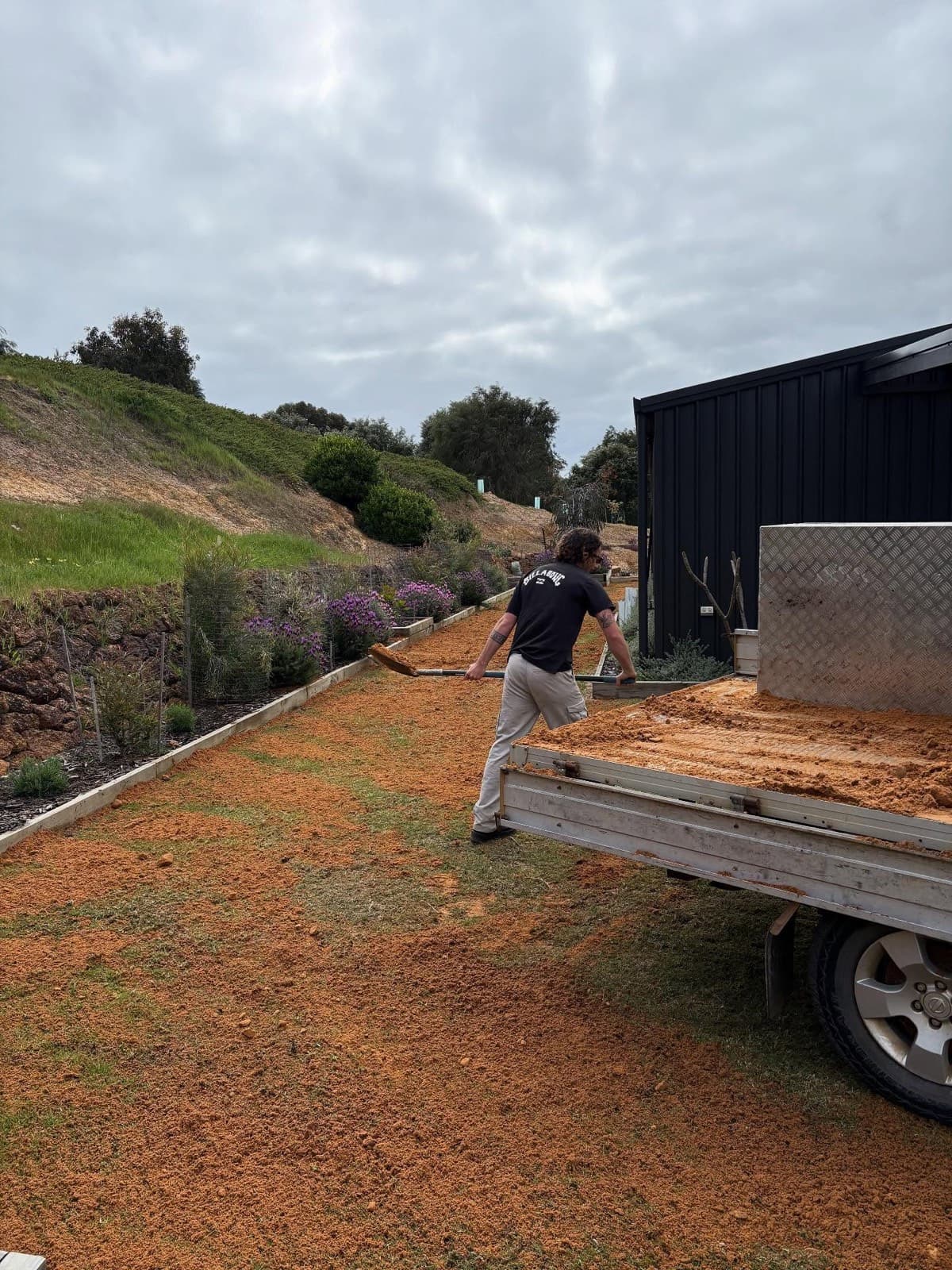 Lawn renovation, photo 3