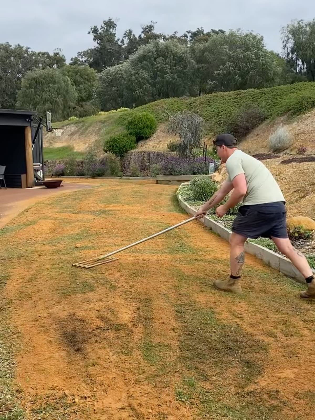Lawn renovation, photo 4