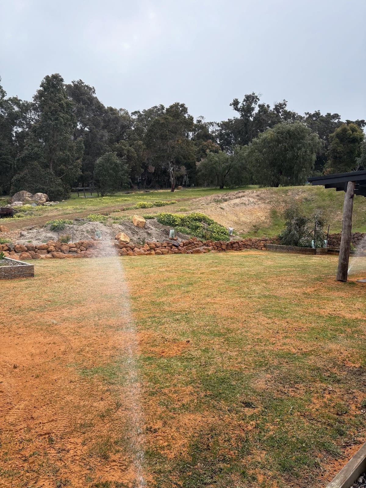 Lawn renovation, photo 5