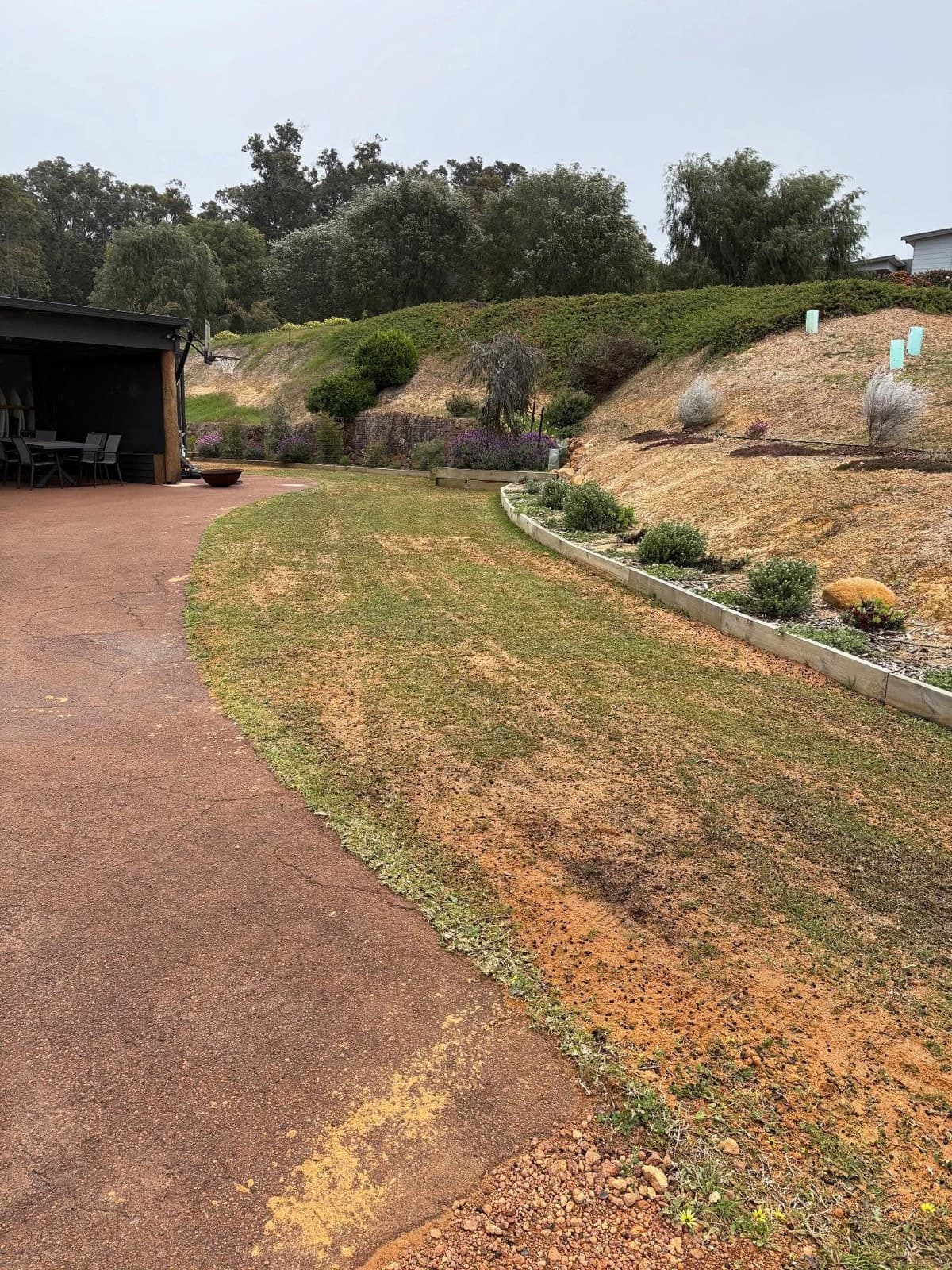 Lawn renovation, photo 6