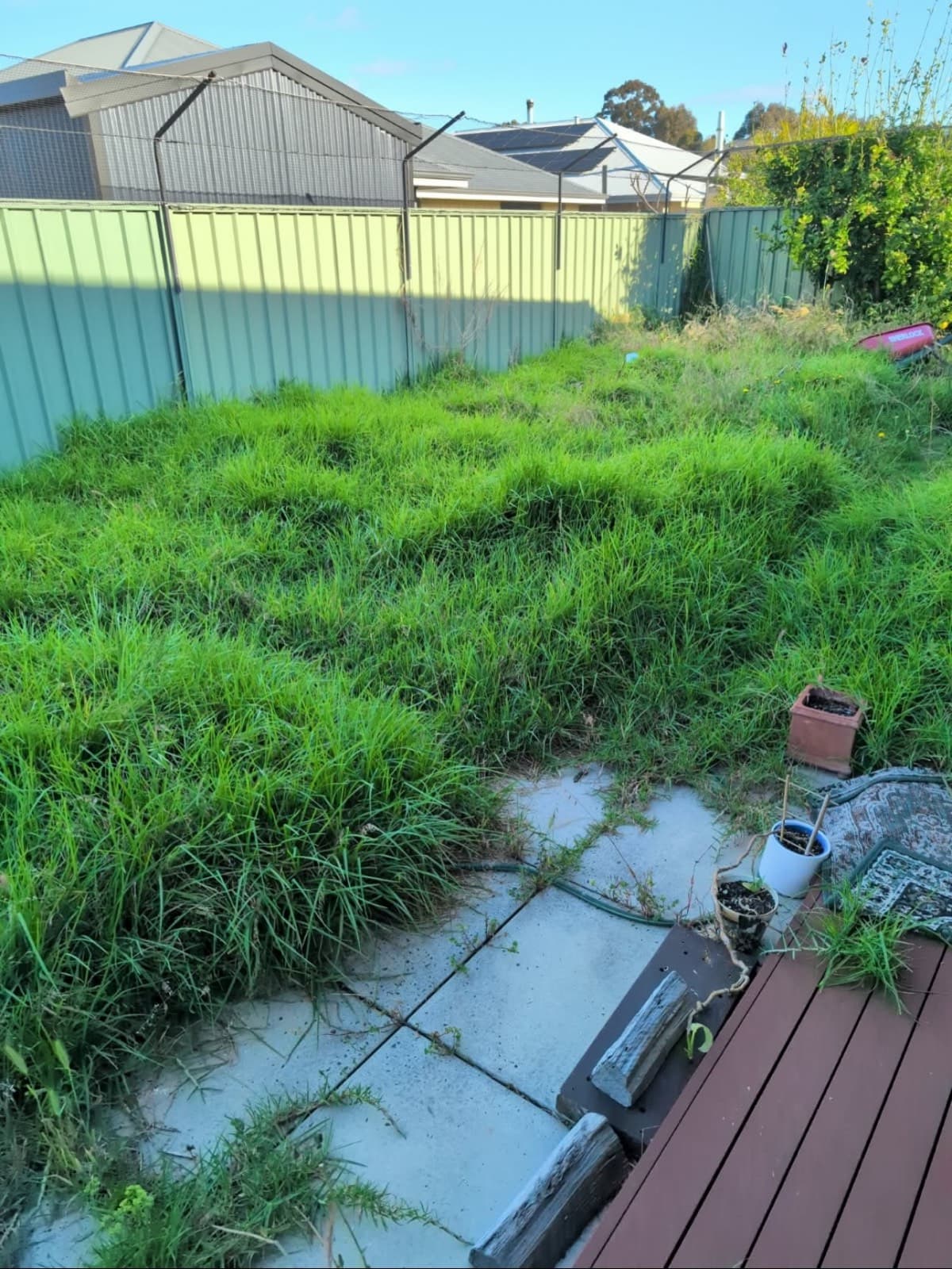 Garden rip out and reinstall, Vasse, photo 3