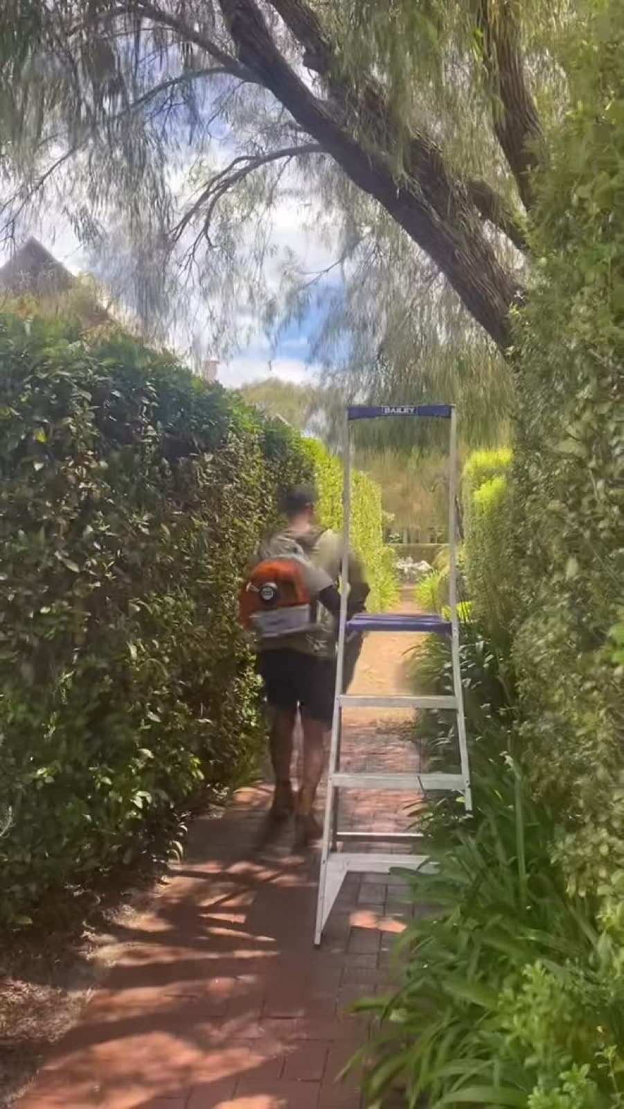 Hedging at Whalers Cove, Dunsborough
