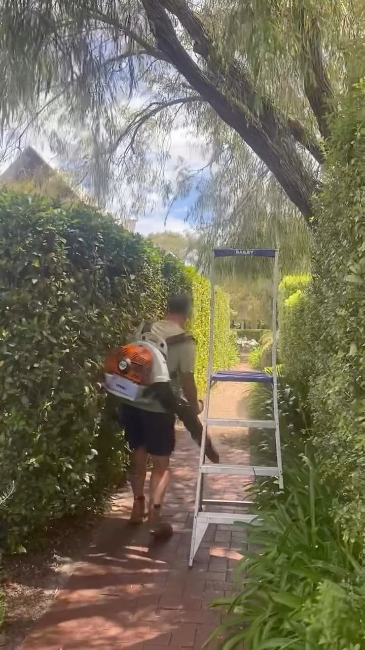 Hedging at Whalers Cove, Dunsborough, photo 5